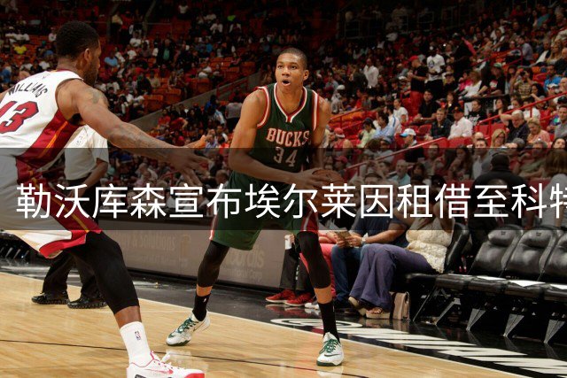 勒沃库森宣布埃尔莱因租借至科特布斯，德乙升班马成U19国脚练兵场
